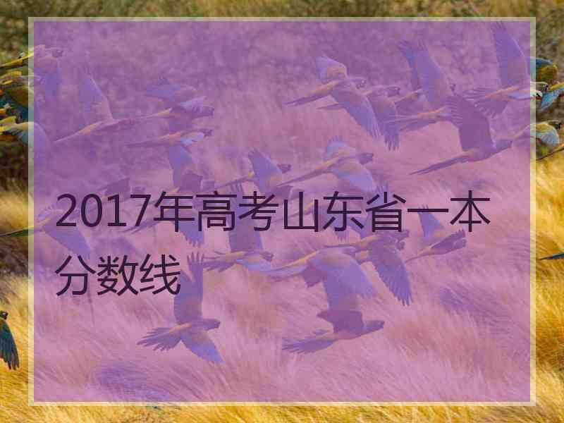 2017年高考山东省一本分数线