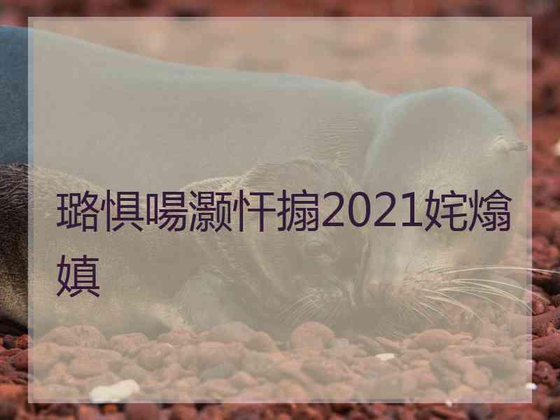 璐惧啺灏忓搧2021姹熻嫃