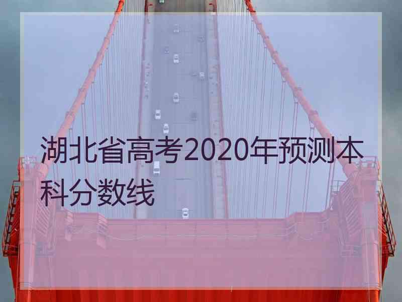 湖北省高考2020年预测本科分数线