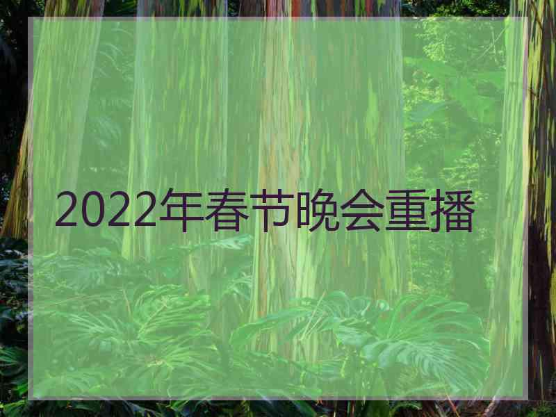 2022年春节晚会重播