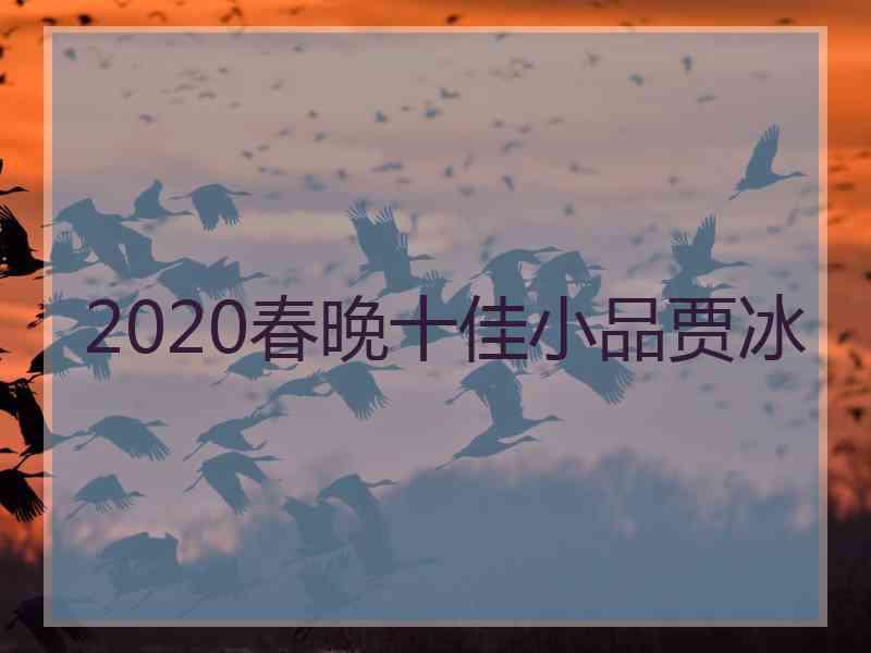 2020春晚十佳小品贾冰