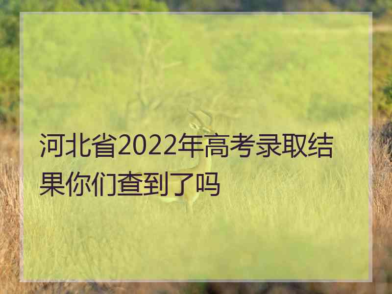 河北省2022年高考录取结果你们查到了吗