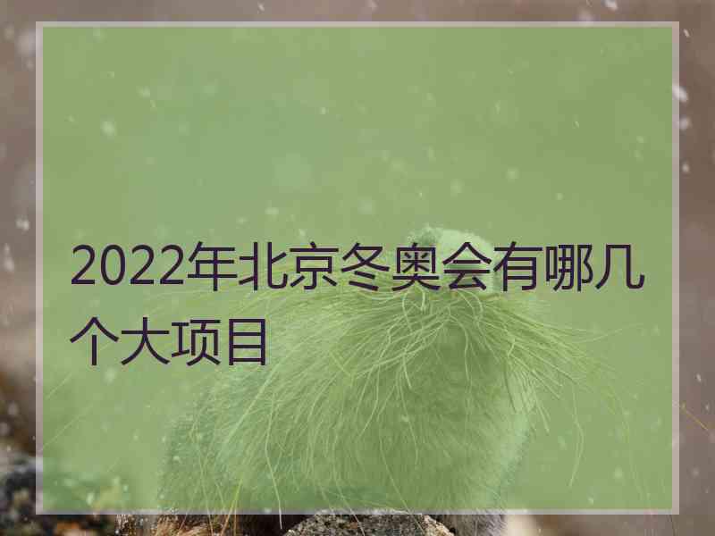 2022年北京冬奥会有哪几个大项目