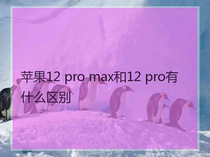 苹果12 pro max和12 pro有什么区别