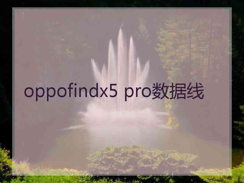 oppofindx5 pro数据线