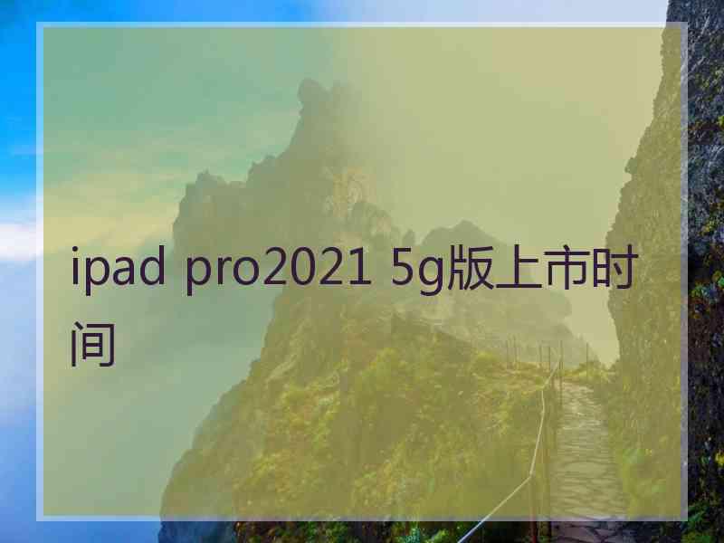 ipad pro2021 5g版上市时间