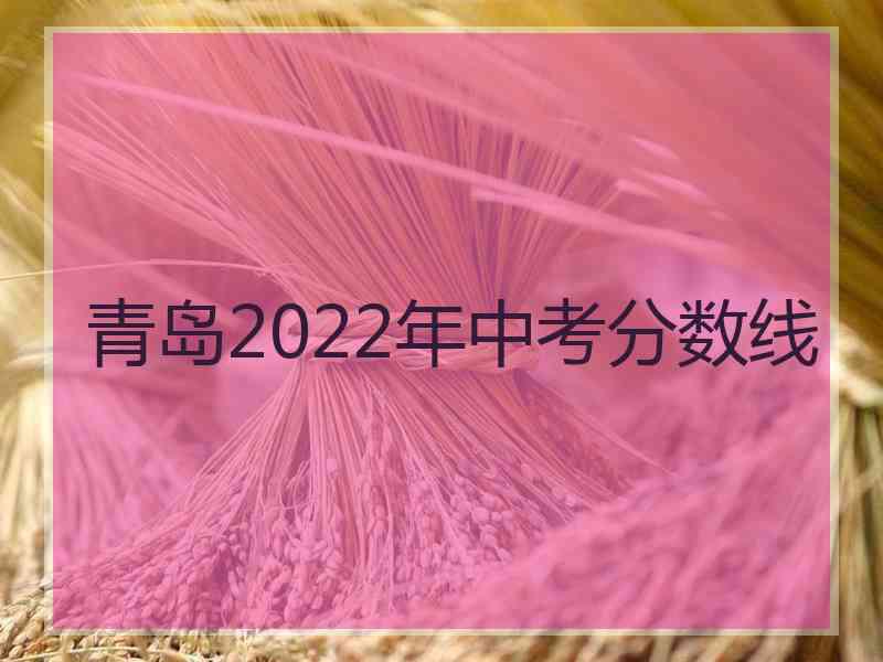 青岛2022年中考分数线