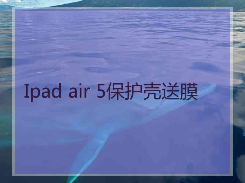 Ipad air 5保护壳送膜