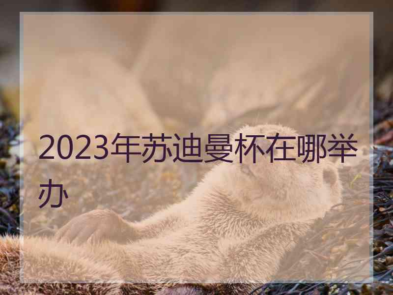 2023年苏迪曼杯在哪举办