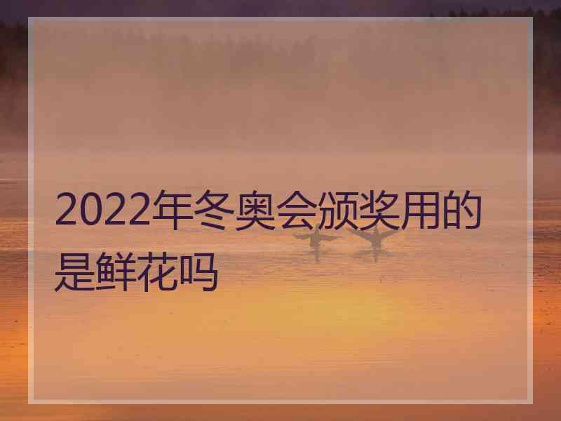 2022年冬奥会颁奖用的是鲜花吗