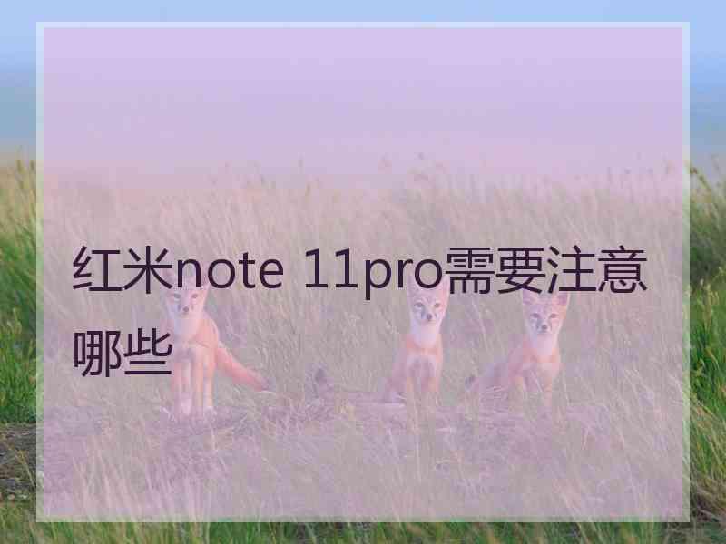 红米note 11pro需要注意哪些