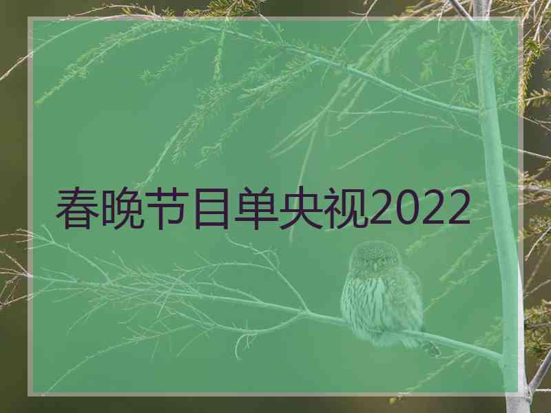 春晚节目单央视2022