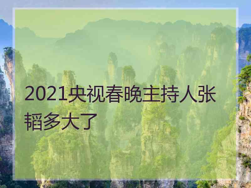 2021央视春晚主持人张韬多大了