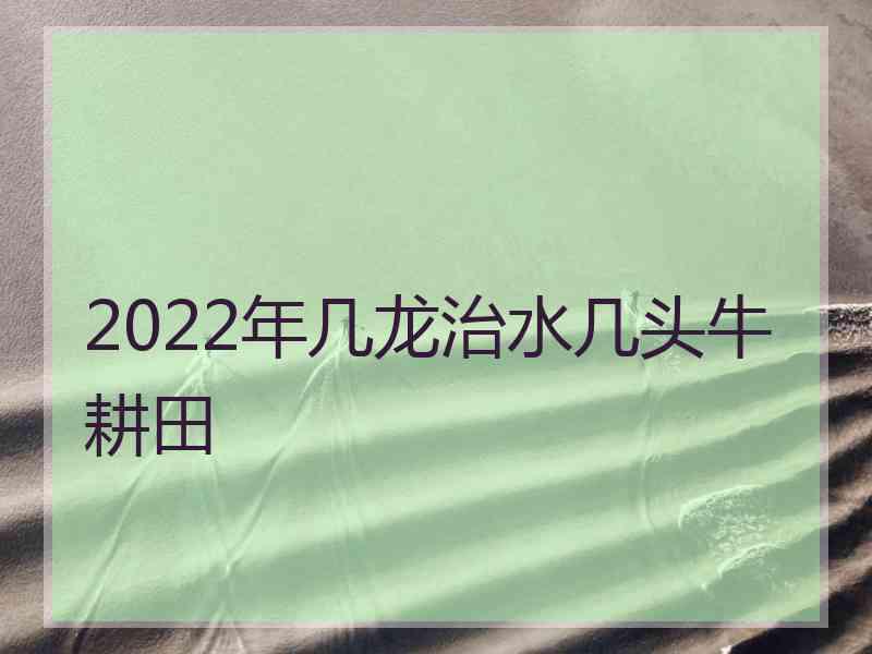 2022年几龙治水几头牛耕田