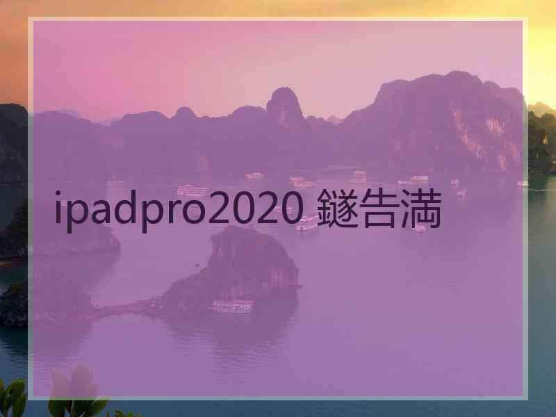 ipadpro2020 鐩告満