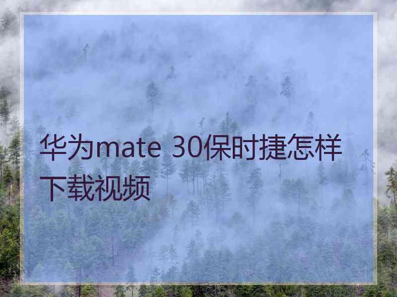 华为mate 30保时捷怎样下载视频