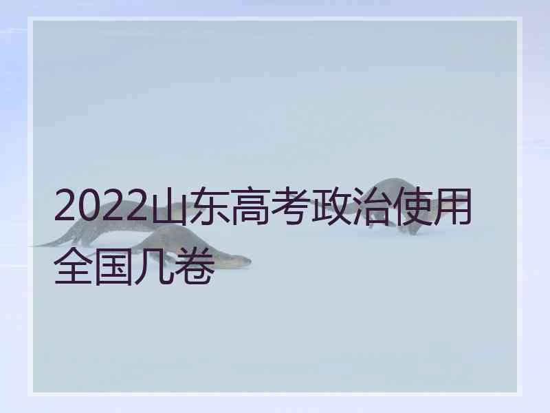 2022山东高考政治使用全国几卷