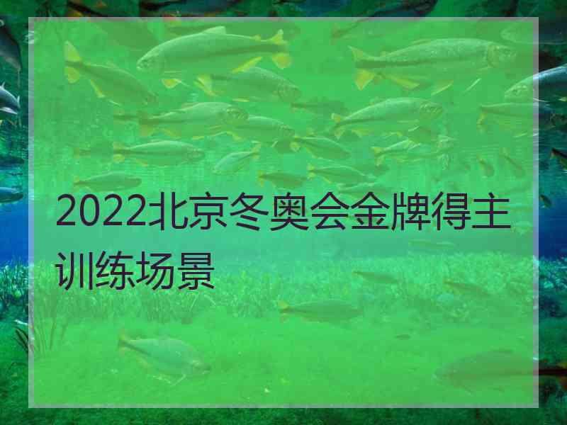 2022北京冬奥会金牌得主训练场景