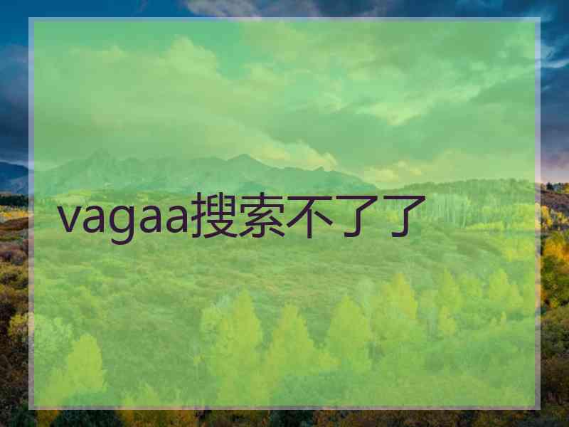 vagaa搜索不了了