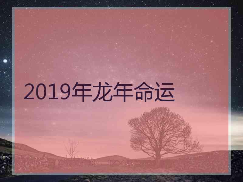 2019年龙年命运