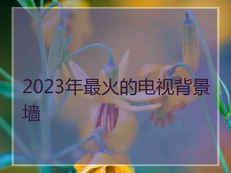 2023年最火的电视背景墙