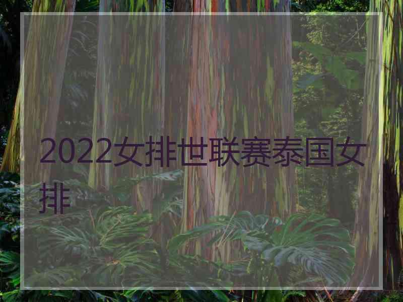 2022女排世联赛泰国女排