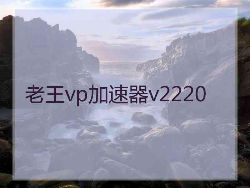 老王vp加速器v2220