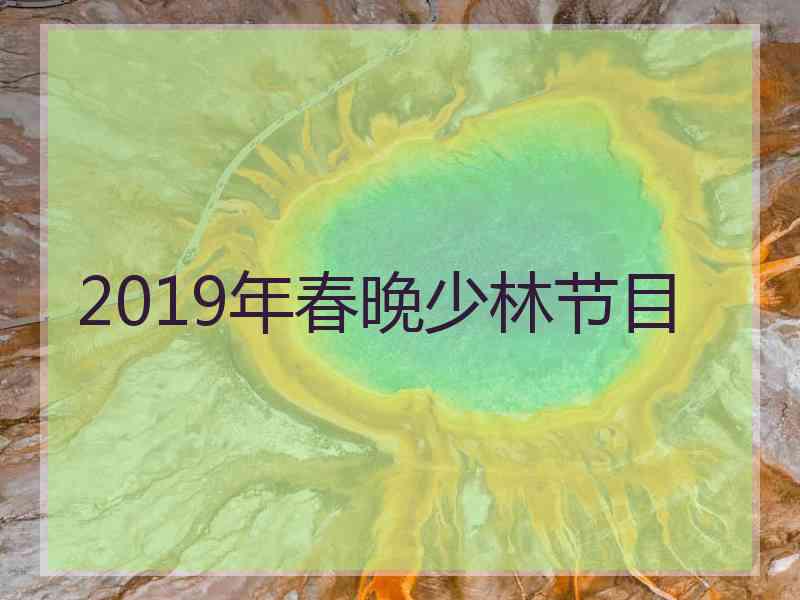 2019年春晚少林节目