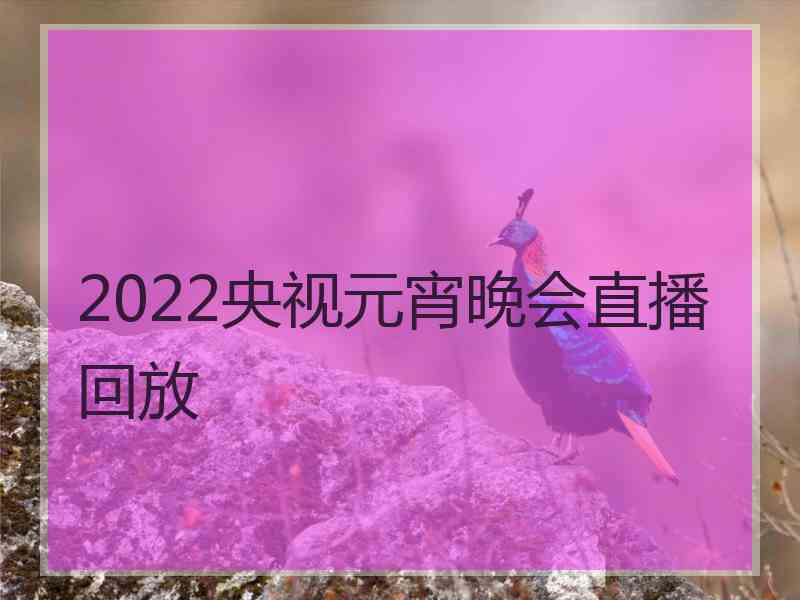 2022央视元宵晚会直播回放