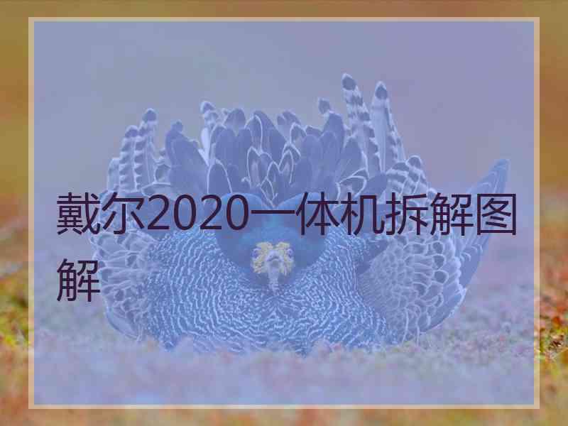 戴尔2020一体机拆解图解