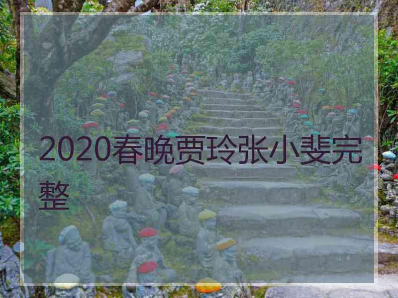 2020春晚贾玲张小斐完整