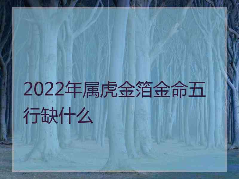 2022年属虎金箔金命五行缺什么