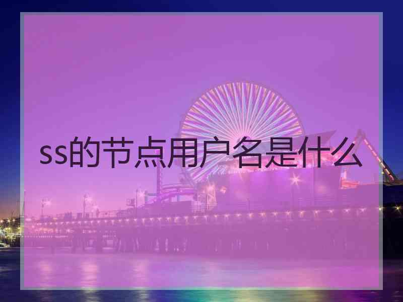 ss的节点用户名是什么