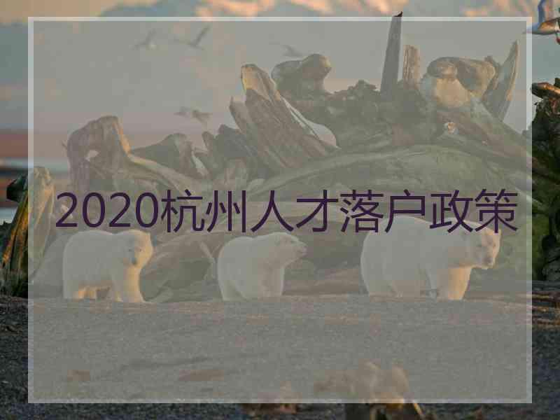 2020杭州人才落户政策