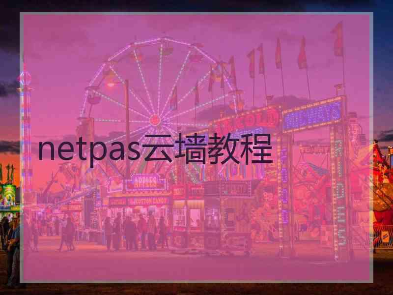 netpas云墙教程