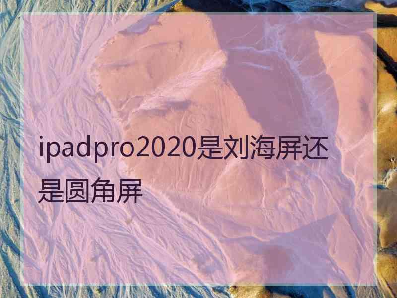 ipadpro2020是刘海屏还是圆角屏