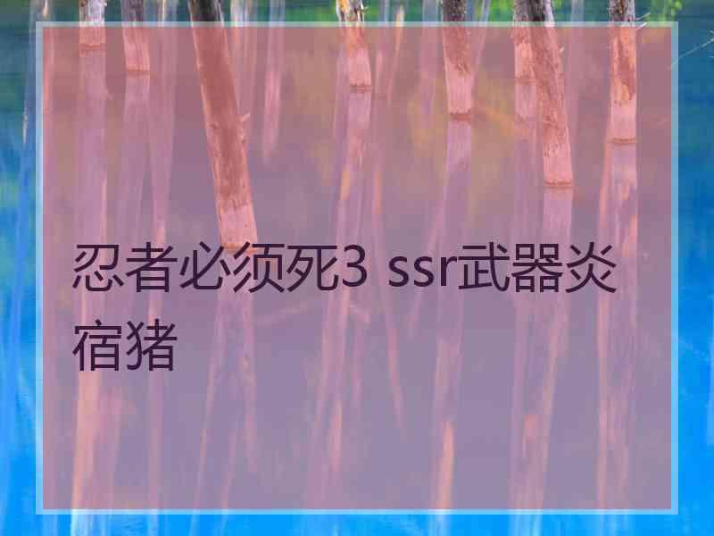 忍者必须死3 ssr武器炎宿猪