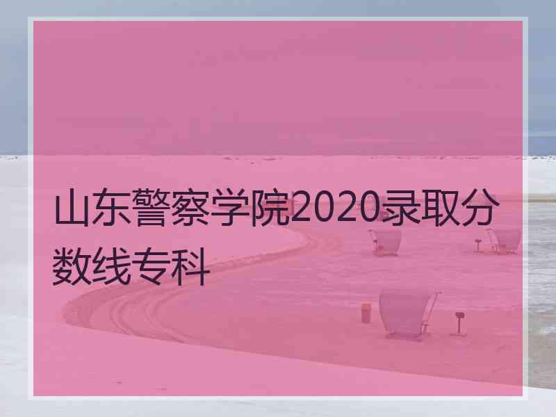 山东警察学院2020录取分数线专科