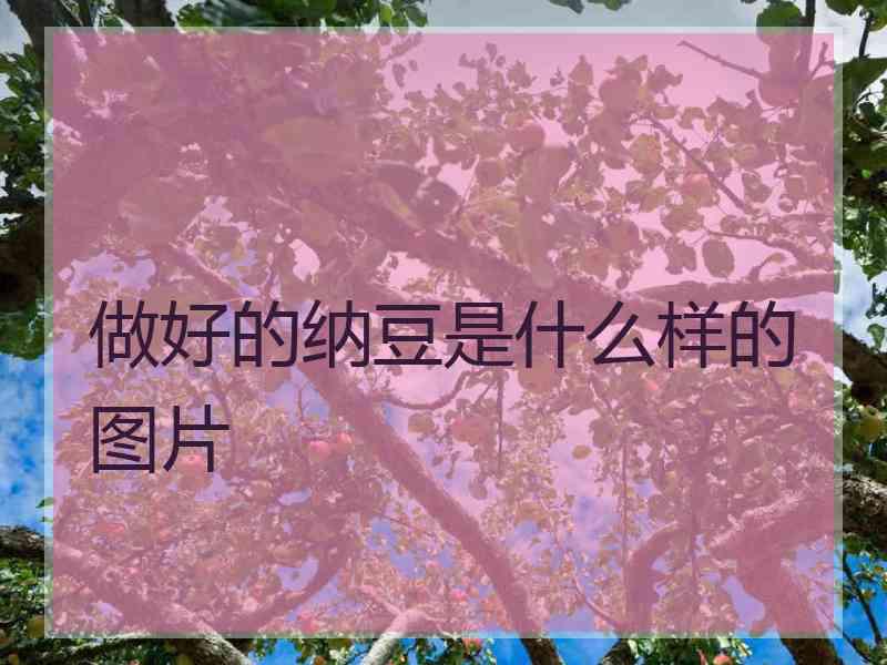 做好的纳豆是什么样的图片