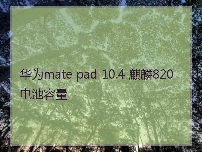 华为mate pad 10.4 麒麟820电池容量