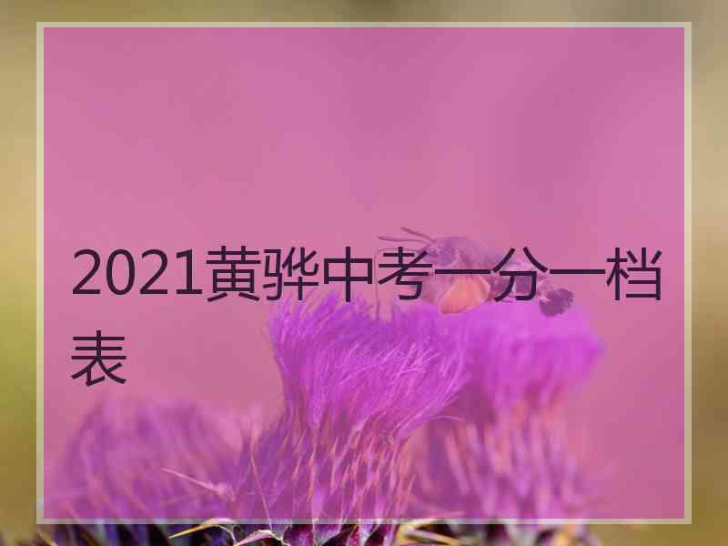 2021黄骅中考一分一档表