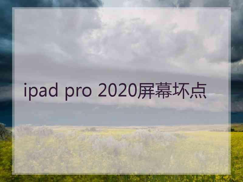 ipad pro 2020屏幕坏点