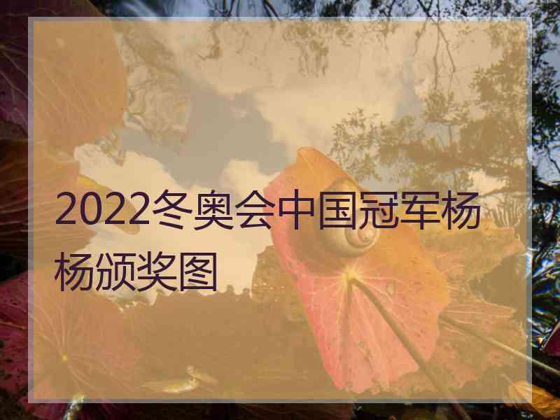 2022冬奥会中国冠军杨杨颁奖图