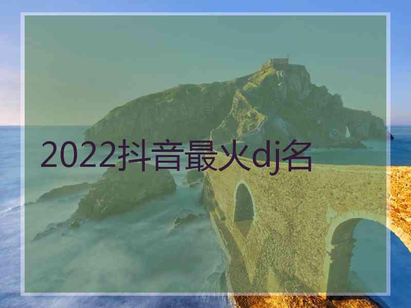 2022抖音最火dj名