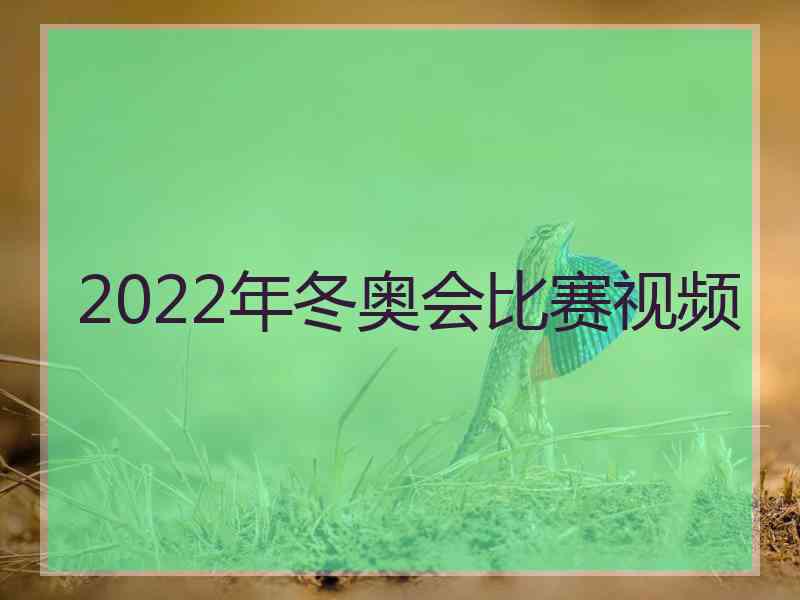 2022年冬奥会比赛视频