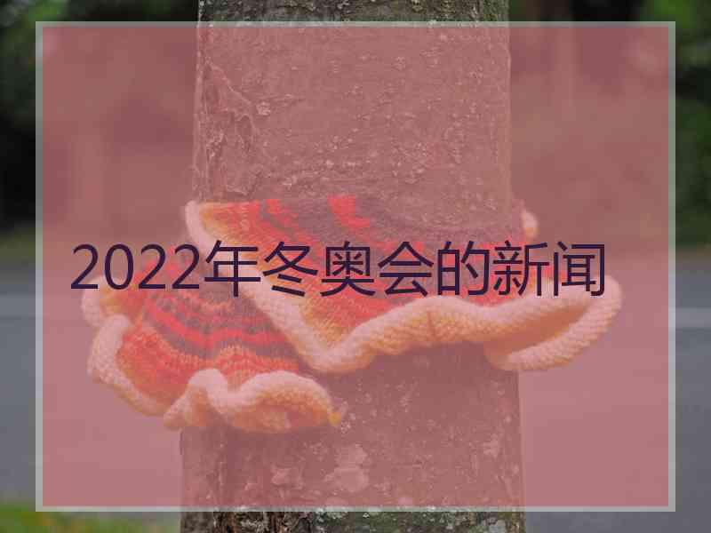 2022年冬奥会的新闻