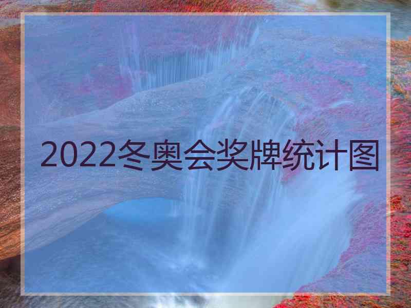 2022冬奥会奖牌统计图