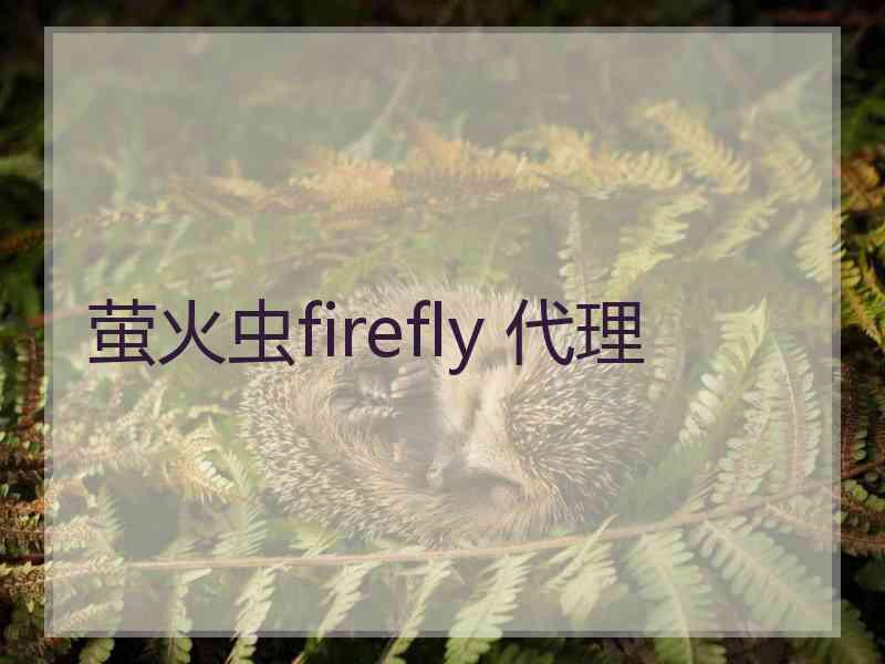 萤火虫firefly 代理