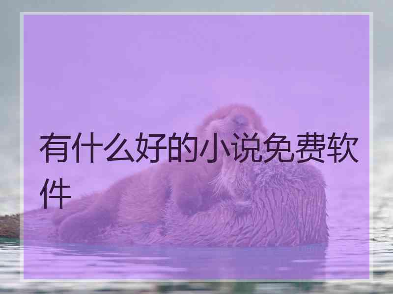 有什么好的小说免费软件