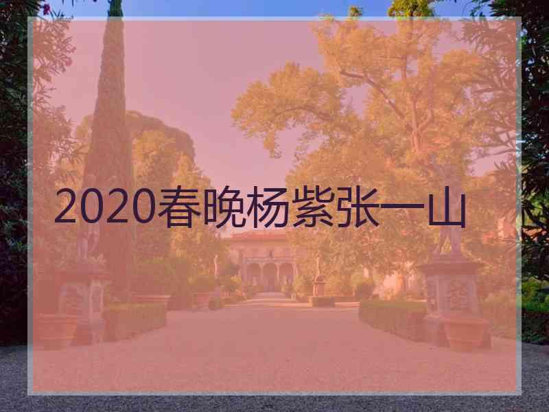 2020春晚杨紫张一山